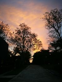 Silhouette trees against sky during sunset