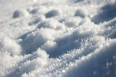 Close-up of snowflakes on snow