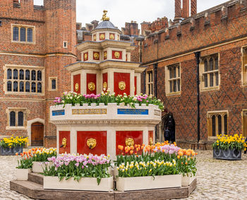 The courtyard of hampton court palace. shot 11 april 2024.