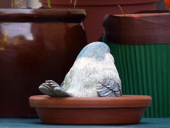 Close-up of statue on table