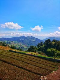 Scenic view of landscape against sky