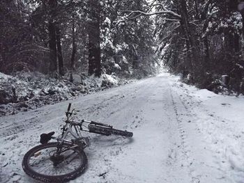 Road passing through forest