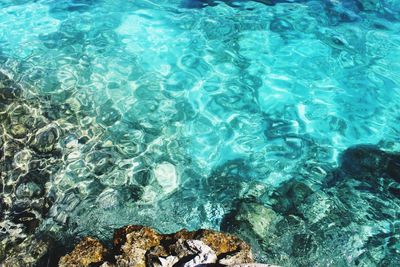 Clear water and rocks at the comino's blue lagoon in malta