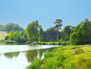 Scenic view of lake against clear sky