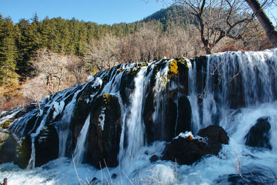 Scenic view of waterfall in forest