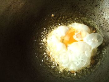 High angle view of egg in container
