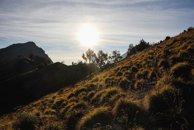 Scenic view of mountains against sky