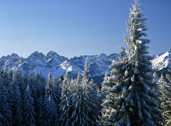 Scenic view of snow covered mountains against clear blue sky