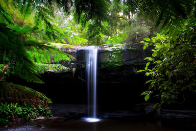 View of waterfall in forest