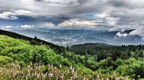 Scenic view of landscape against sky