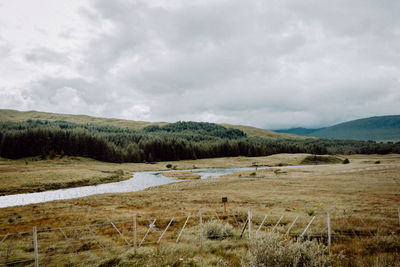 Scenic view of landscape against sky