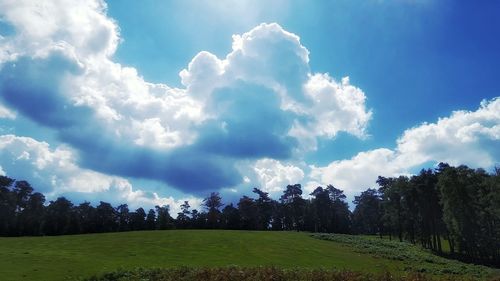 Panoramic view of trees on landscape against sky