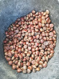 High angle view of eggs in container