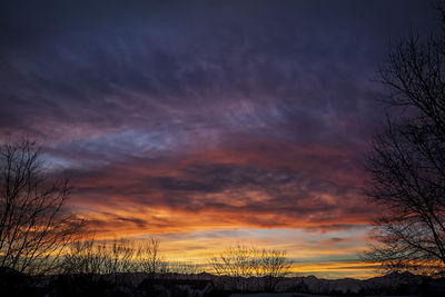 Low angle view of silhouette trees against dramatic sky