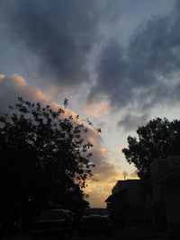 Low angle view of silhouette trees against sky