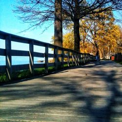 Road passing through trees