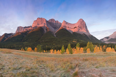 Scenic view of landscape and mountains against sky