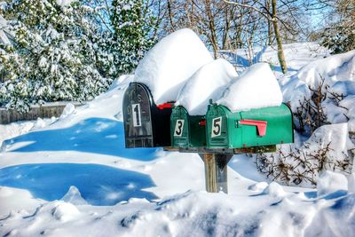 Snow covered mailboxes against trees