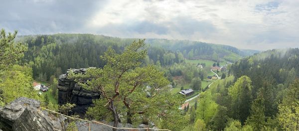 High angle view of trees on landscape against sky