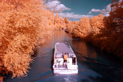 High angle view of river amidst trees during autumn