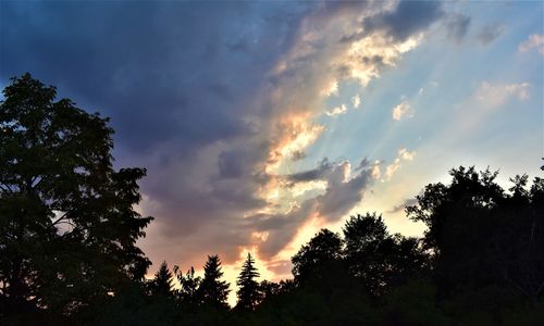 Low angle view of silhouette trees against sky during sunset