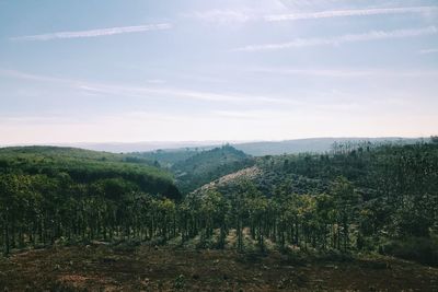 Scenic view of landscape against sky