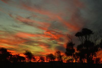 Silhouette trees against dramatic sky during sunset