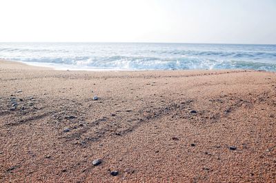 Scenic view of beach against clear sky