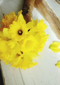 Close-up of yellow flowers