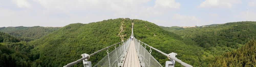 Panoramic view of trees on landscape against sky