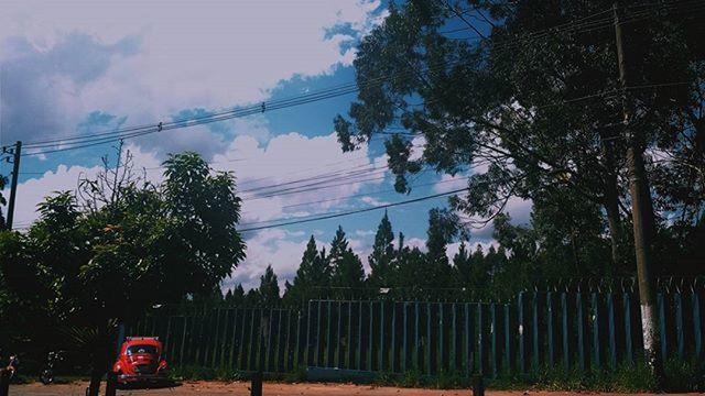 tree, transportation, power line, sky, electricity pylon, mode of transport, land vehicle, cable, road, connection, growth, nature, cloud - sky, tranquility, street, car, outdoors, electricity, men