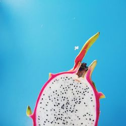 Close-up of fruit against pink background