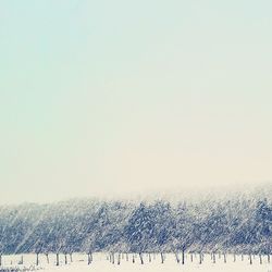 Scenic view of snow field against clear sky