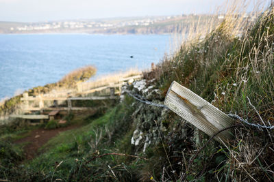 Close-up of grass by sea against sky