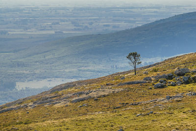 Rear view of man walking on mountain