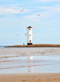 Seagull flying over beach