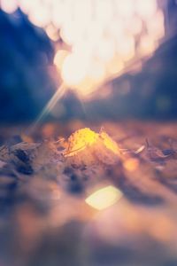 Close-up of illuminated sun during sunset