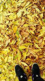 Low section of person standing on fallen leaves