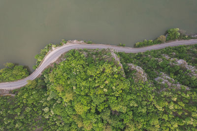 High angle view of road amidst trees