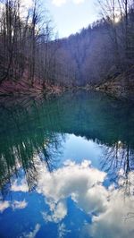 Reflection of trees in lake against sky