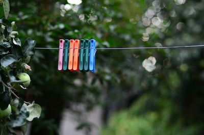 Close-up of clothespins hanging on clothesline