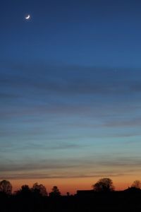 Low angle view of silhouette trees against sky at sunset