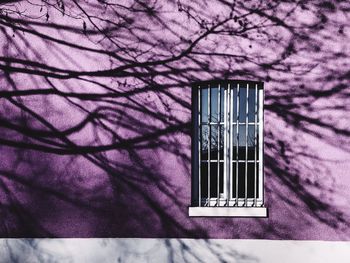 Close-up of window on wall