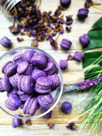 High angle view of purple flowers on table