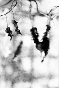 Close-up low angle view of sky