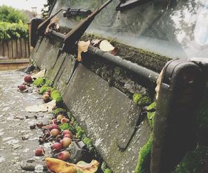 High angle view of food on rusty metal