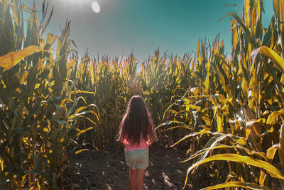 Rear view of woman standing amidst plants against sky during sunset
