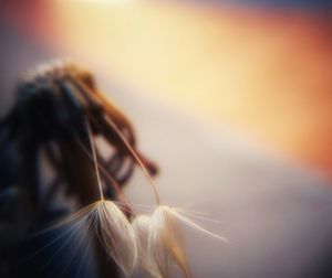 Close-up of woman against sky during sunset