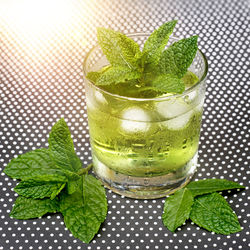 Glass of clear green liquid cooled with ice cubes. mint leaves of the herb morocco mint decorated. 