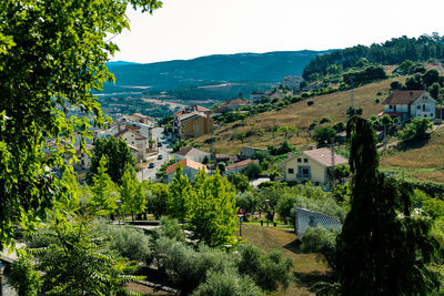 Trees and townscape against sky